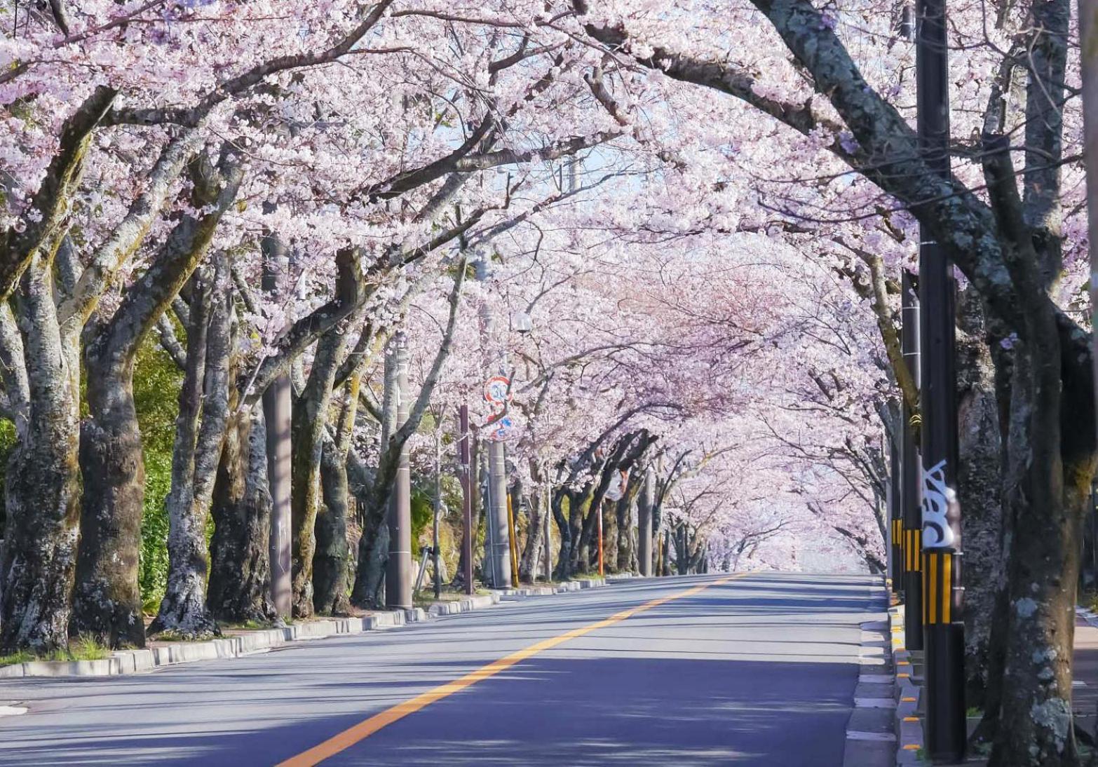 伊豆高原テラス-寛道- Villa Ito  Buitenkant foto