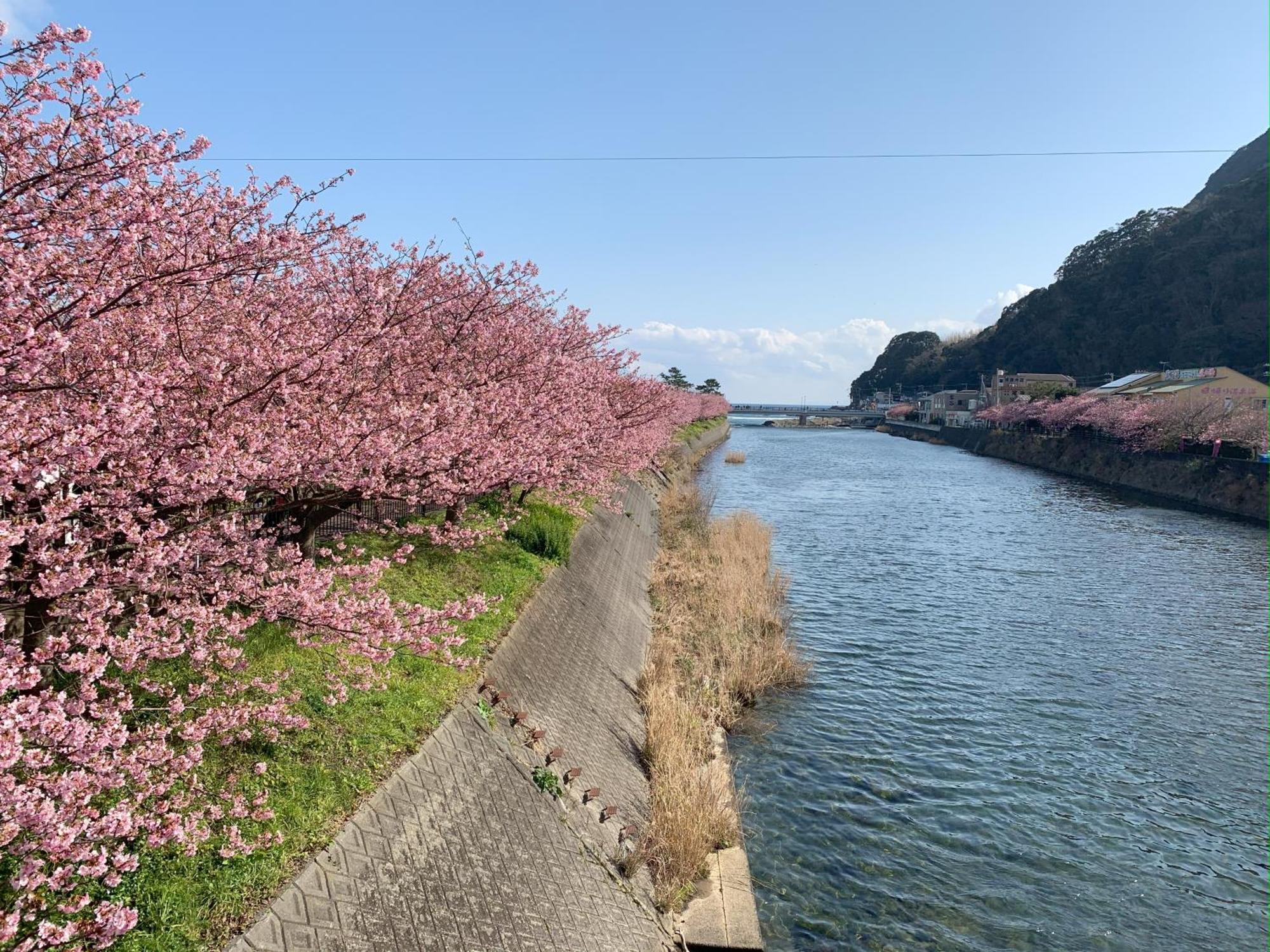 伊豆高原テラス-寛道- Villa Ito  Buitenkant foto